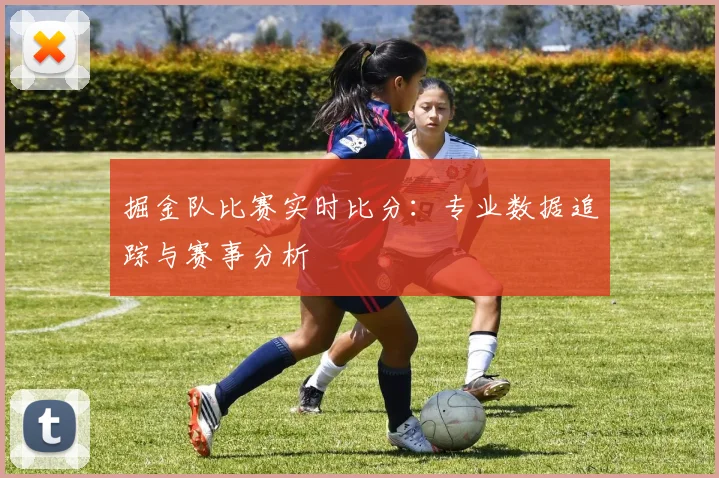 掘金队比赛实时比分：专业数据追踪与赛事分析