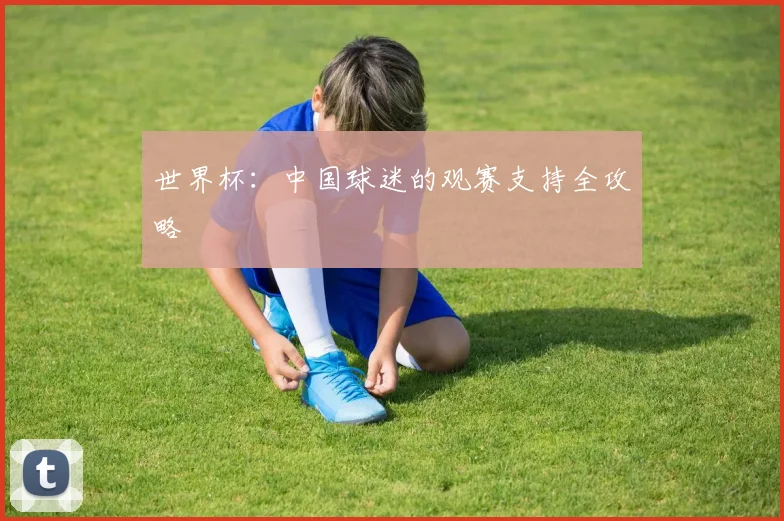 世界杯：中国球迷的观赛支持全攻略